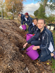 Four St Andrews College students kneeling in front a pile of mulch, filling purple buckets