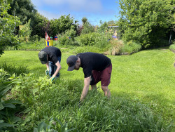 Staff members from Jade Software volunteering at Kaiapoi Food Forest