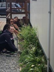 Three people kneeling down to weed along the edge of a gravel path