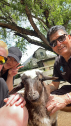 Staff members from Foot Science International volunteering at  Willowbank caring for animals