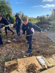 A group of St Andrews College students spreading mulch over a garden area