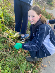 St Andrews College students weeding