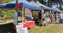 A display of Volunteering Canterbury information pamphlets on a table, under a blue gazebo, alongside other gazebos and displays