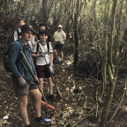 A group of students in a wooded area holding garden rakes