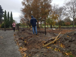 Two people in the rain, using large sticks to create a screening frame in a community garden