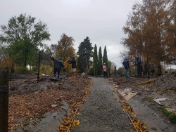 Two teams of people in the rain, using large sticks to create a screening frames in a community garden