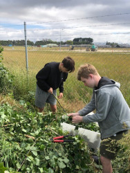 Two students weeding in front of a fence. An open field and farm machinery in the background