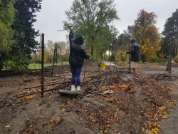 Two people in the rain, using large sticks to create a screening frame in a community garden