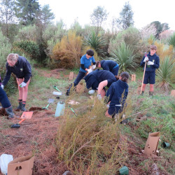 Students from Loburn School Te Kura Aromauka planting and guarding seedlings in Silverstream Reserve