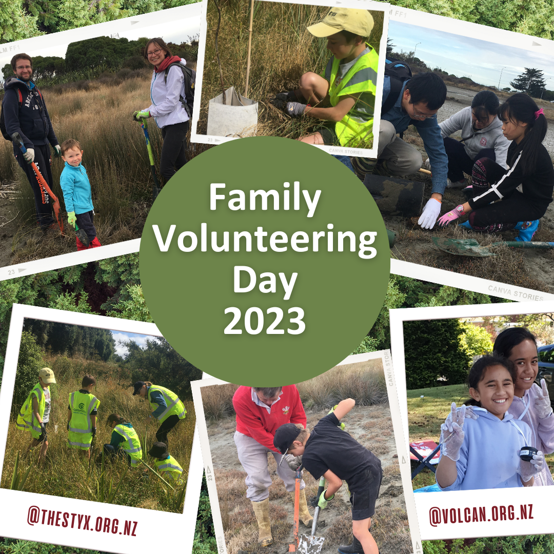 Image for Family Volunteering Day 2023