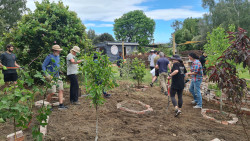 Staff members from Mars Bio-Imaging volunteering at Richmond Community Gardens