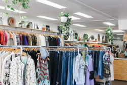 Inside an Op Shop building. Rows of racks display clothes for sale. Shelves in the background displaying knick knacks. Plants hang from the ceiling