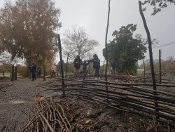 Multiple people working in the rain, using large sticks to create screen frames in a community garden